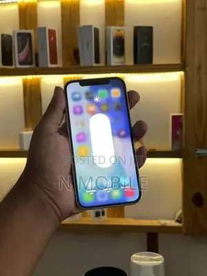 Apple iPhone 12 Pro 256GB (Used)