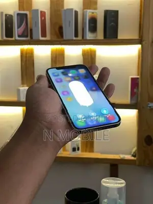 Apple iPhone 12 Pro 256GB (Used)