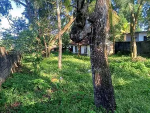 Prime Land for Sale in Makola