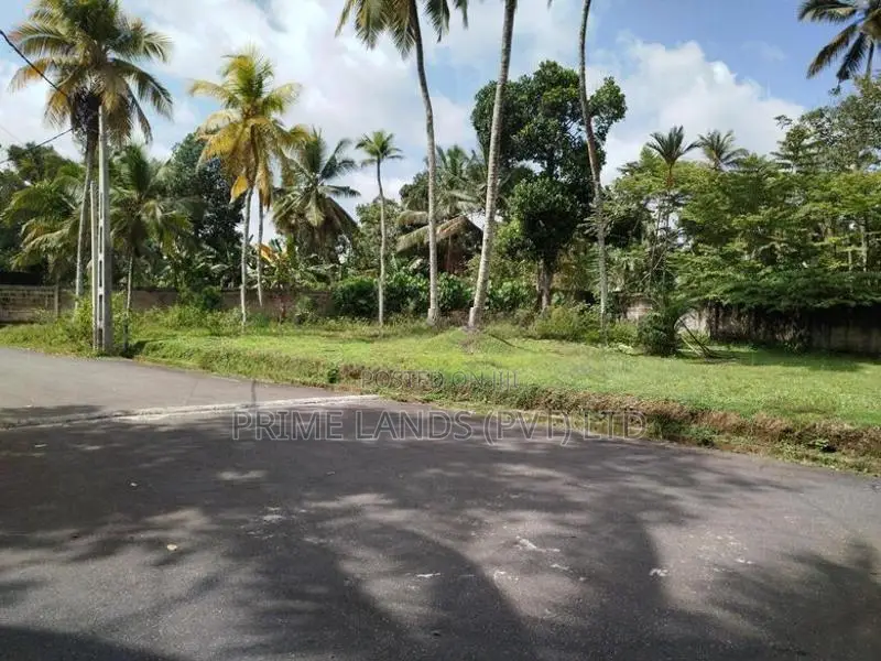 අතුරුගිරිය මුල්ලේගම පාරෙන් බිම් කොටසක් විකිණීමට
