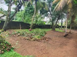 Prime Land for Sale in Makola