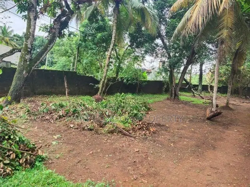 Prime Land for Sale in Makola