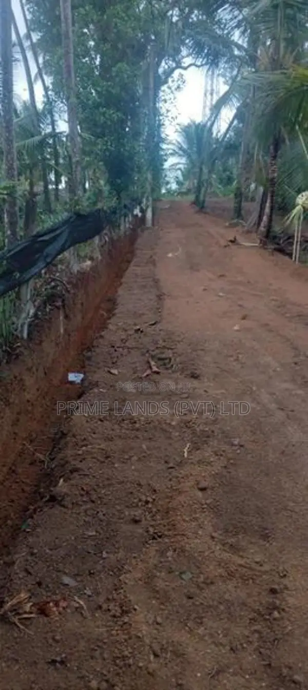 කඩවත ඉඩම විකිණීමට