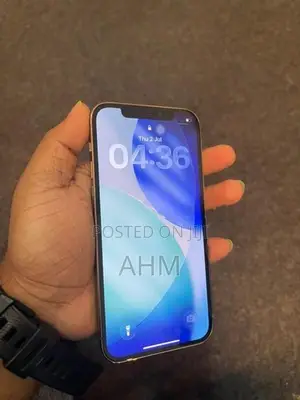 Apple iPhone 12 Pro 256GB (Used)