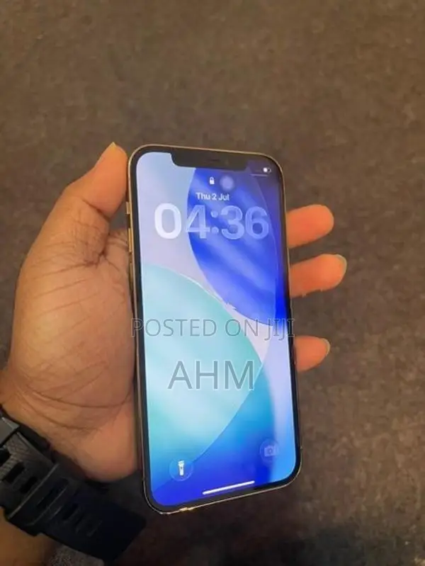 Apple iPhone 12 Pro 256GB (Used)