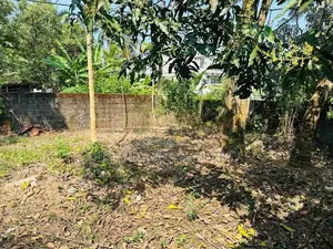Prime Land for Sale in Makola