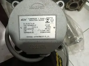 3 Phase Induction Motor