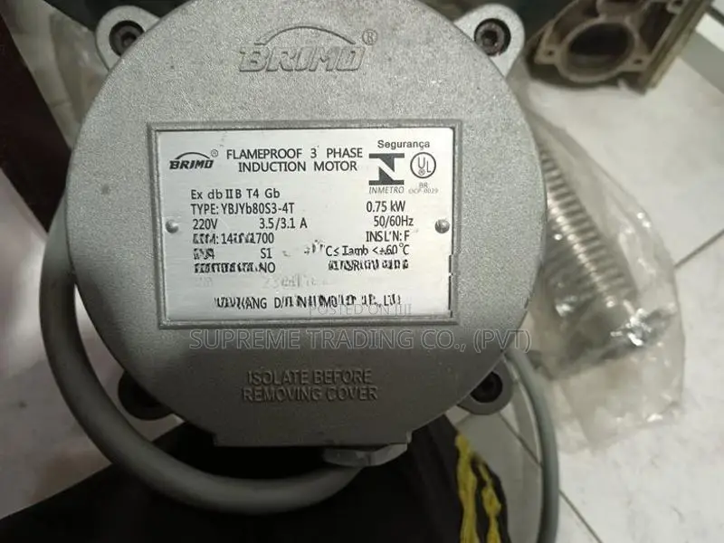 3 Phase Induction Motor