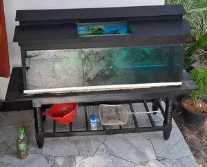 Oscar Fish with Aquarium Tank