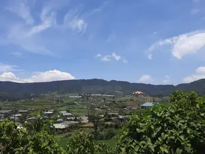 Land for Sale Nuwaraeliya