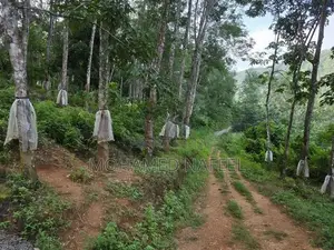 Agricultural Land for Long-Term Lease Kannatota, Kegalle