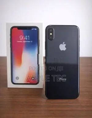 Apple iPhone X 256GB (Used)