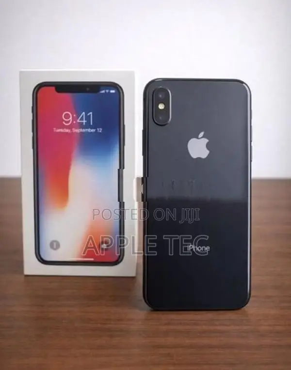 Apple iPhone X 256GB (Used)