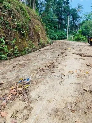 Land for Sale Nelundeniya Alawwa Road