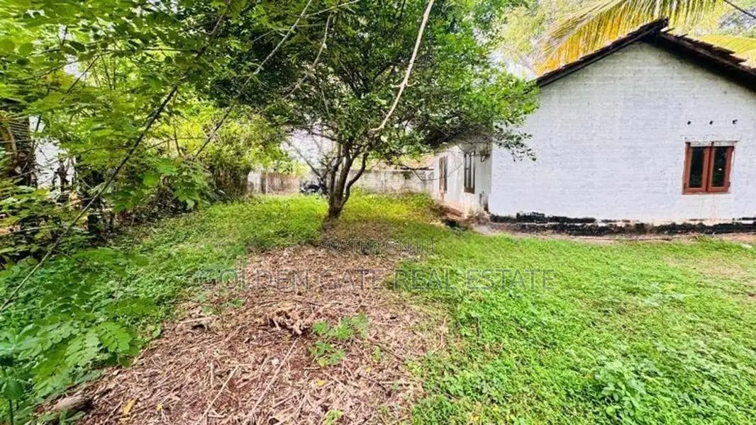 Valuable Land for Sale Ganemulla 278 Bus Road