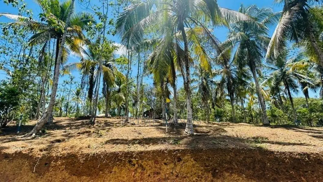 කහතුඩුව අධීවේගී පිවිසුමට ආසන්නයේන් ඉඩම්