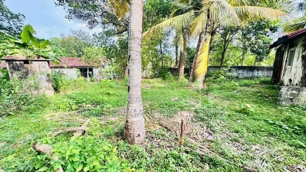 Valuable Land for Sale Ganemulla 278 Bus Road