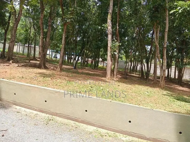 වටිනා ඉඩමක් කහතුඩුවෙන්