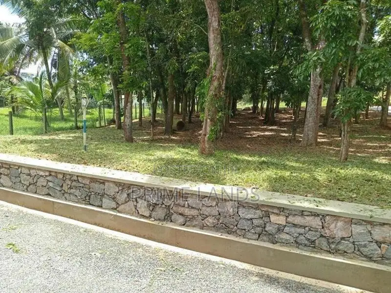 වටිනා ඉඩමක් කහතුඩුවෙන්