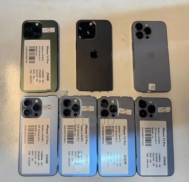 Apple iPhone 13 Pro 256GB (Used)