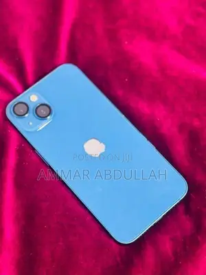 Apple iPhone 13 HN/A (Used)