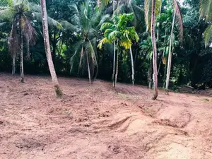 Land for Sale Veyangoda
