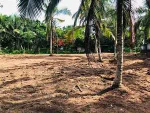 Land for Sale Veyangoda