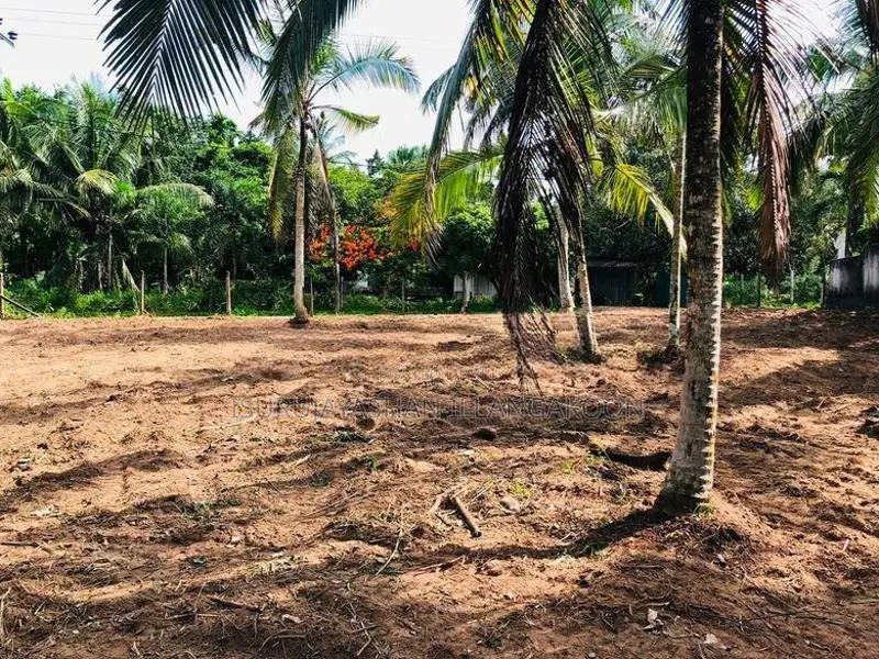 Land for Sale Veyangoda