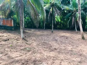 Land for Sale Veyangoda