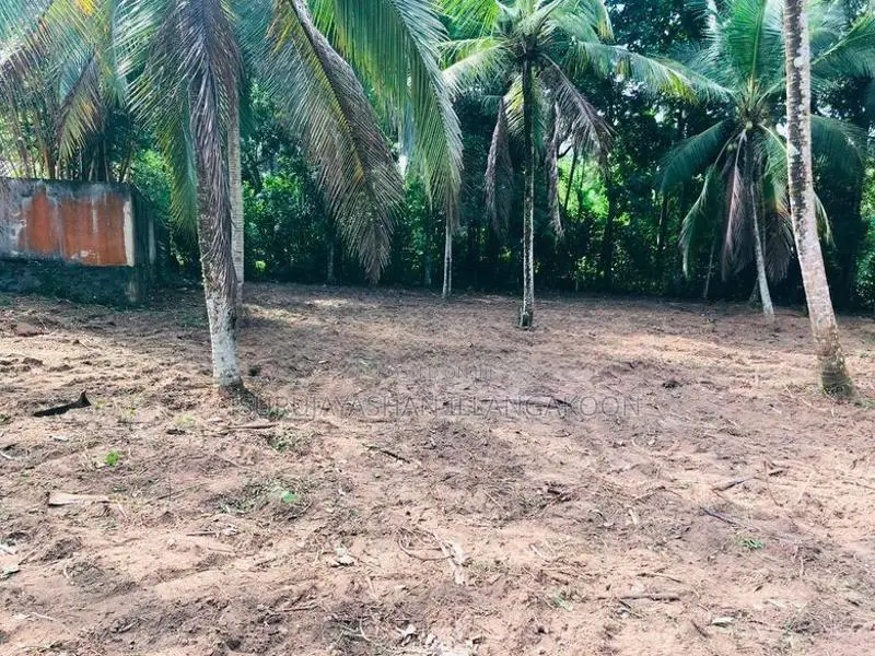 Land for Sale Veyangoda