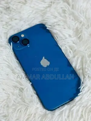 Apple iPhone 13 HN/A (Used)
