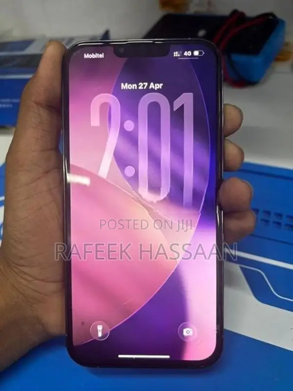 Apple iPhone 13 Pro Max (Used)