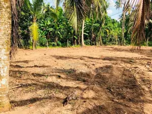 Land for Sale Veyangoda