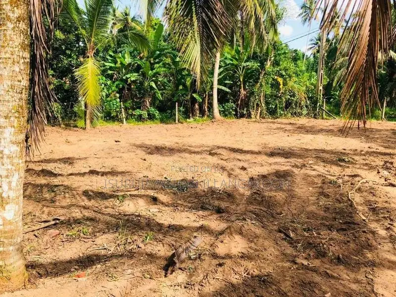 Land for Sale Veyangoda