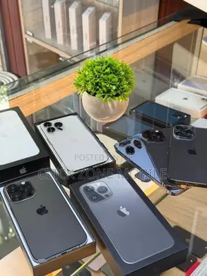 Apple iPhone 13 Pro (Used)