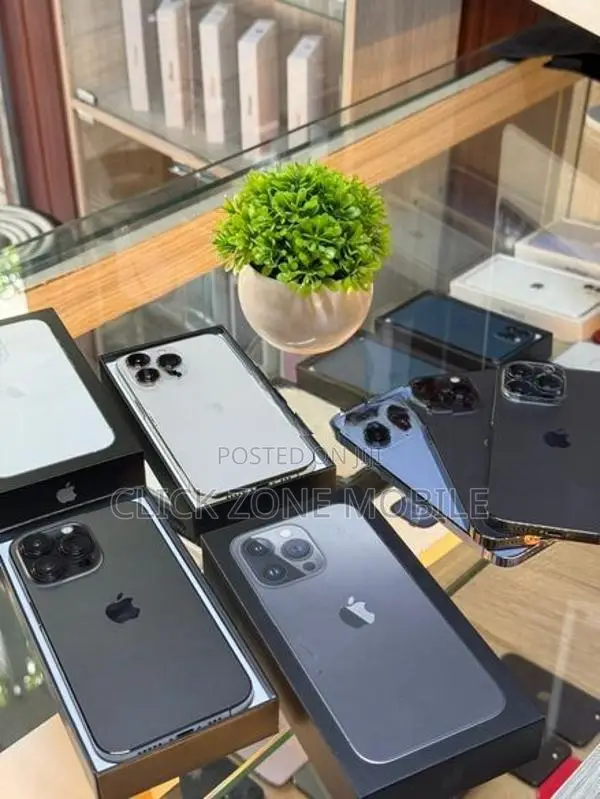 Apple iPhone 13 Pro (Used)