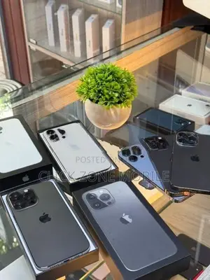 Apple iPhone 13 Pro (Used)