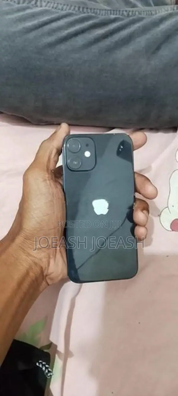 Apple iPhone 12 mini (Used)