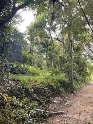 Land for Sale – Kandy, Emilton Range, Halloluwa