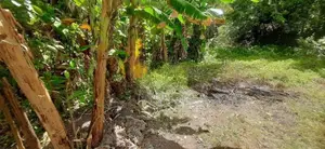 Land for Sale Boralesgamuwa Abagahapura