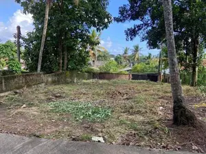 Prime Land for Sale Pannipitiya