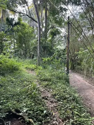 Land for Sale – Kandy, Emilton Range, Halloluwa