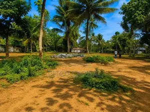 The Tourism Land In Midigama