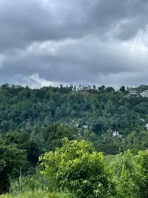 Land for Sale – Kandy, Emilton Range, Halloluwa