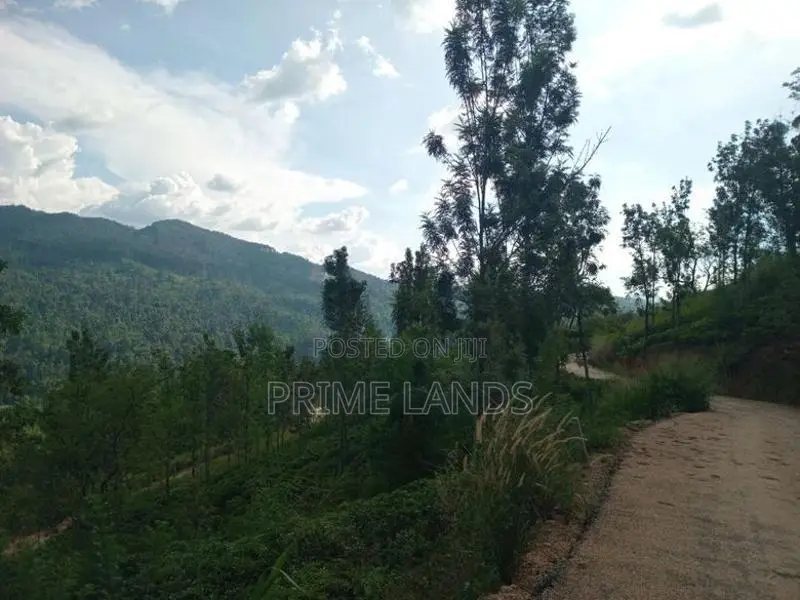 Land for Sale Nillamba