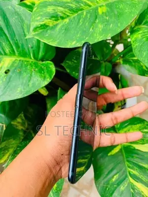 Apple iPhone SE 3 (Used)