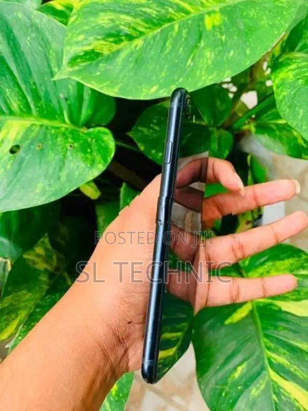Apple iPhone SE 3 (Used)