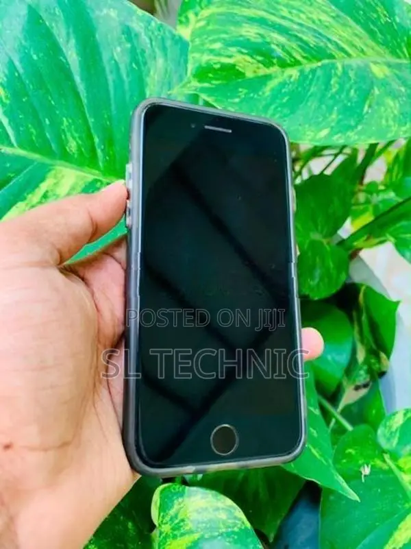 Apple iPhone SE 3 (Used)