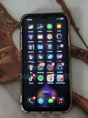Apple iPhone 11 (Used)