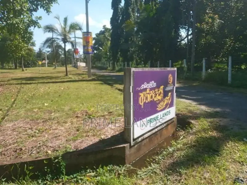 Land කුලියාපිටිය ජනප්‍රිය පාසල් සීමාවෙන්